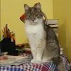 Отзыв от Инесса Фомичева